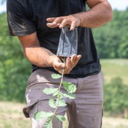 La première filière de truffe en Ombrie